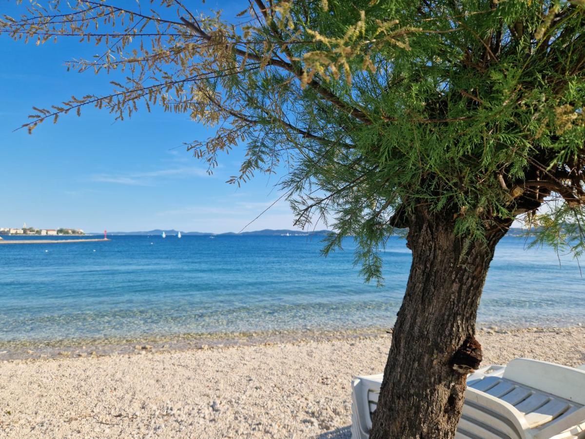 Tea Luxury * Zadar